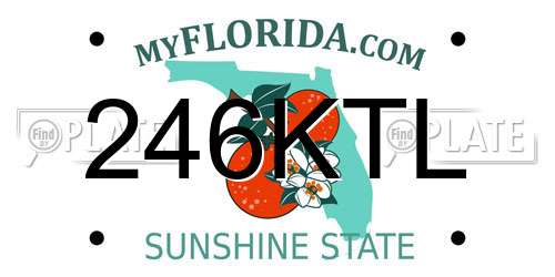 246KTL Florida License Plate