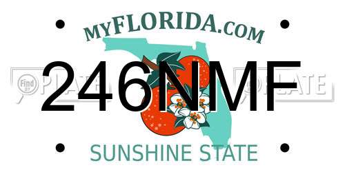 246NMF Florida License Plate