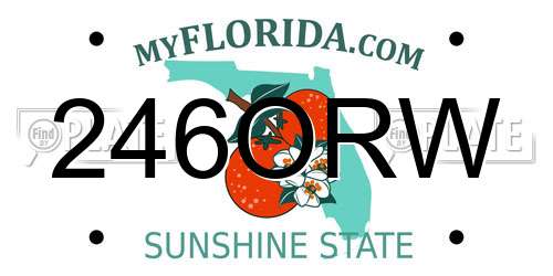 246ORW Florida License Plate