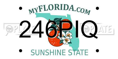 246PIQ Florida License Plate