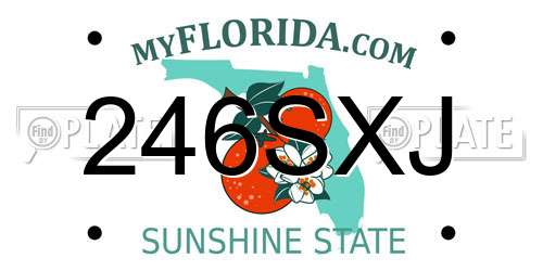 246SXJ Florida License Plate