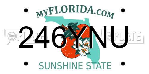 246YNU Florida License Plate