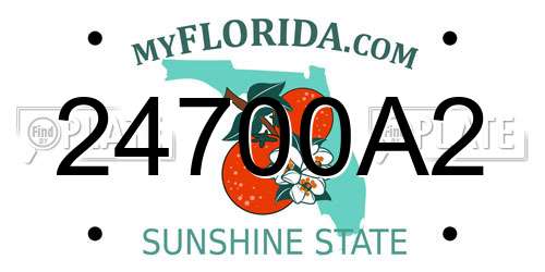 24700A2 Florida License Plate