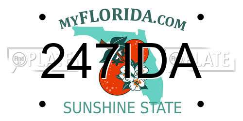 247IDA Florida License Plate