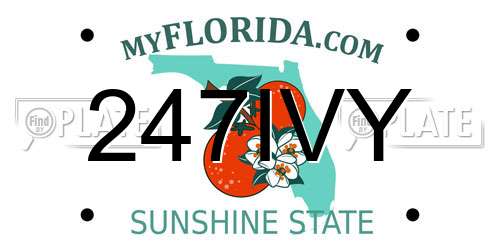 247IVY Florida License Plate