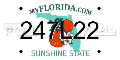 247L22 Florida License Plate