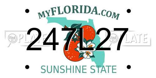 247L27 Florida License Plate