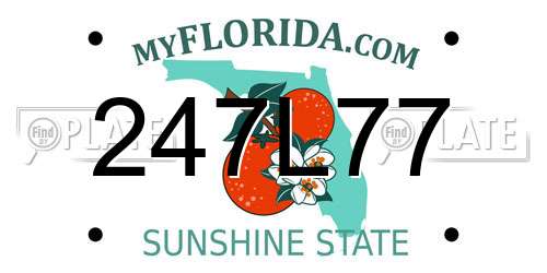 247L77 Florida License Plate