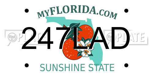 247LAD Florida License Plate