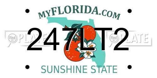 247LT2 Florida License Plate