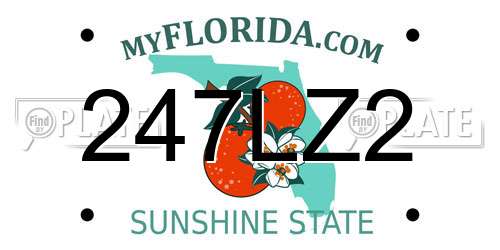 247LZ2 Florida License Plate