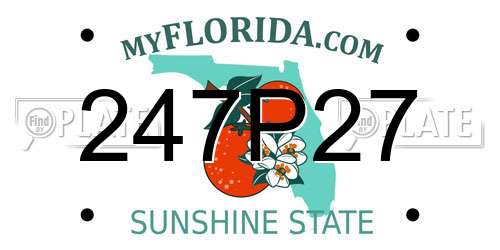 247P27 Florida License Plate