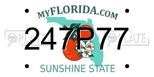 247P77 Florida License Plate