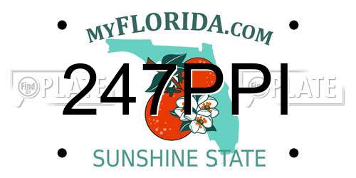 247PPI Florida License Plate