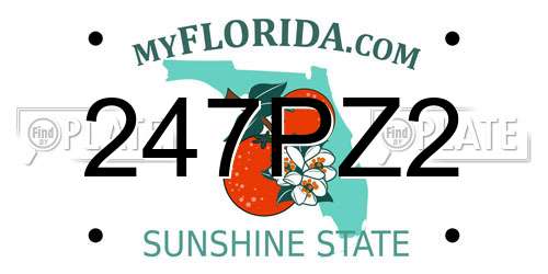 247PZ2 Florida License Plate