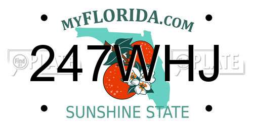247WHJ Florida License Plate