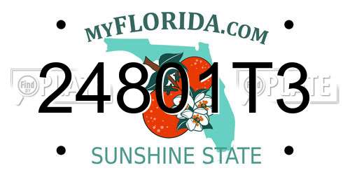 24801T3 Florida License Plate
