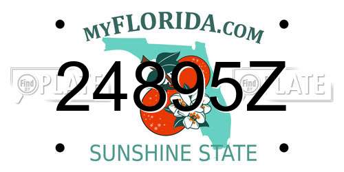 24895Z Florida License Plate