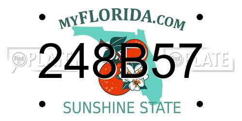 248B57 Florida License Plate