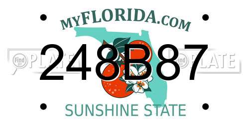 248B87 Florida License Plate