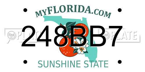 248BB7 Florida License Plate