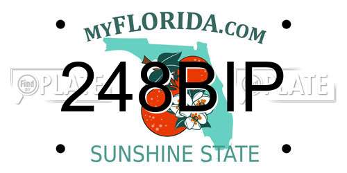 248BIP Florida License Plate