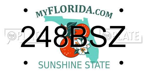 248BSZ Florida License Plate