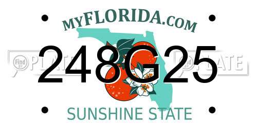 248G25 Florida License Plate