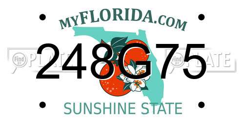 248G75 Florida License Plate