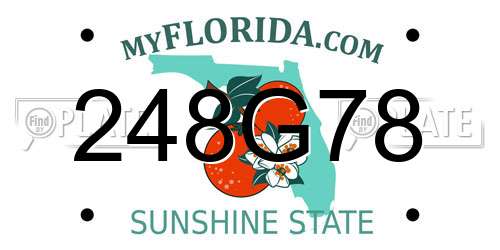 248G78 Florida License Plate