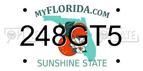 248GT5 Florida License Plate