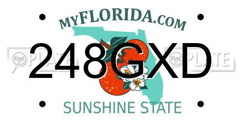 248GXD Florida License Plate