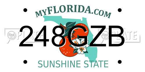 248GZB Florida License Plate