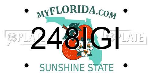 248IGI Florida License Plate