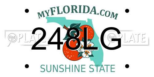 248LG Florida License Plate