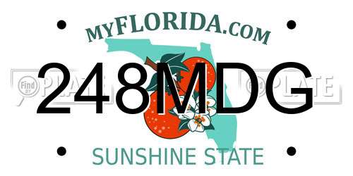 248MDG Florida License Plate