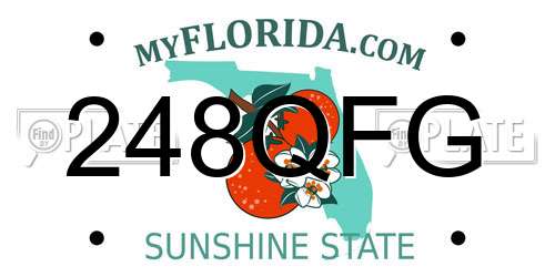248QFG Florida License Plate