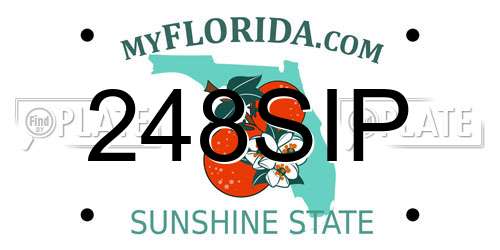 248SIP Florida License Plate