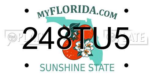 248TU5 Florida License Plate