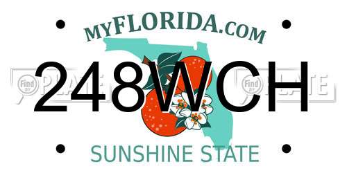 248WCH Florida License Plate