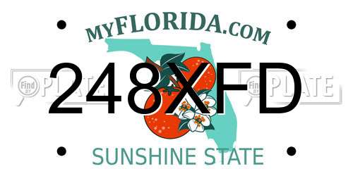 248XFD Florida License Plate