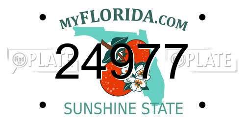 24977 Florida License Plate