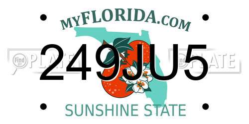 249JU5 Florida License Plate