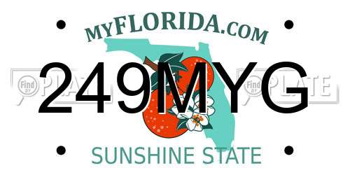 249MYG Florida License Plate