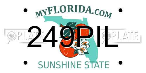 249PIL Florida License Plate