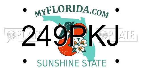 249PKJ Florida License Plate