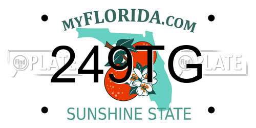 249TG Florida License Plate