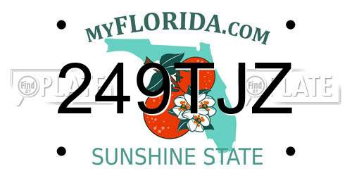 249TJZ Florida License Plate