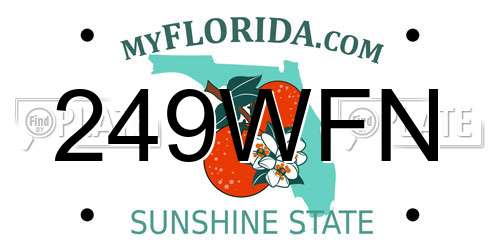 249WFN Florida License Plate