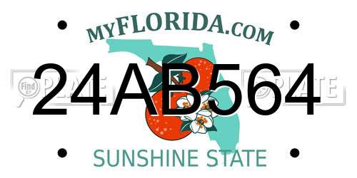 24AB564 Florida License Plate